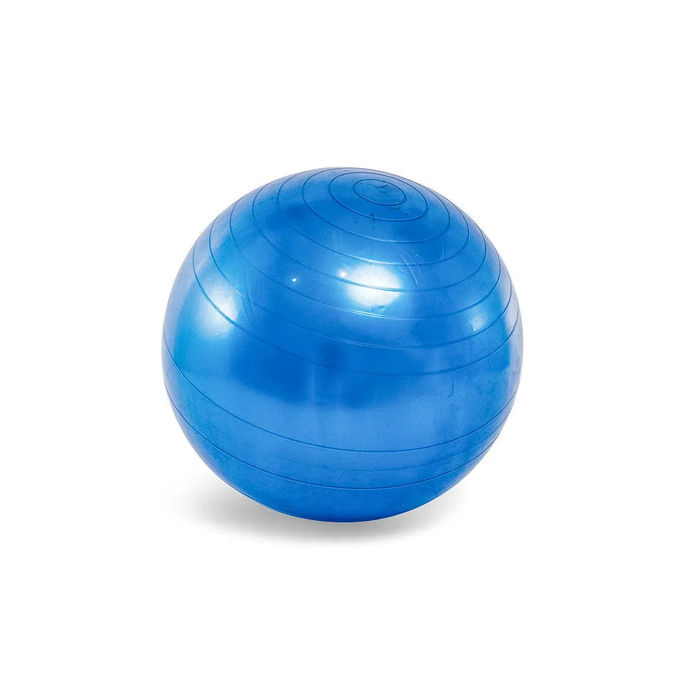 Exercise / Fitness Ball