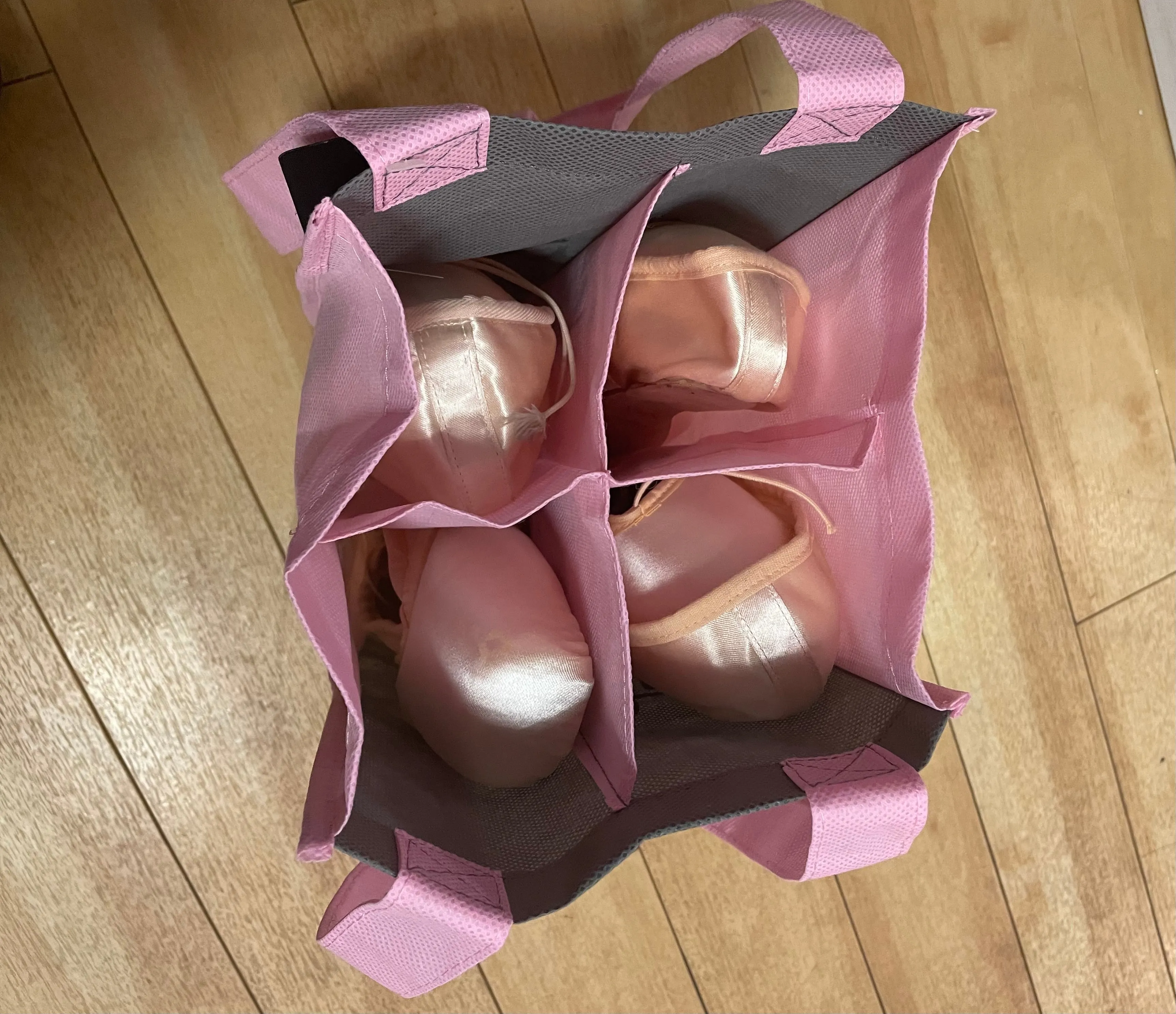 Four-Way Pointe Shoe Bag (Tutu)