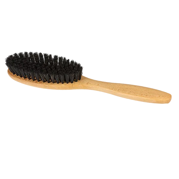 Garment Brush